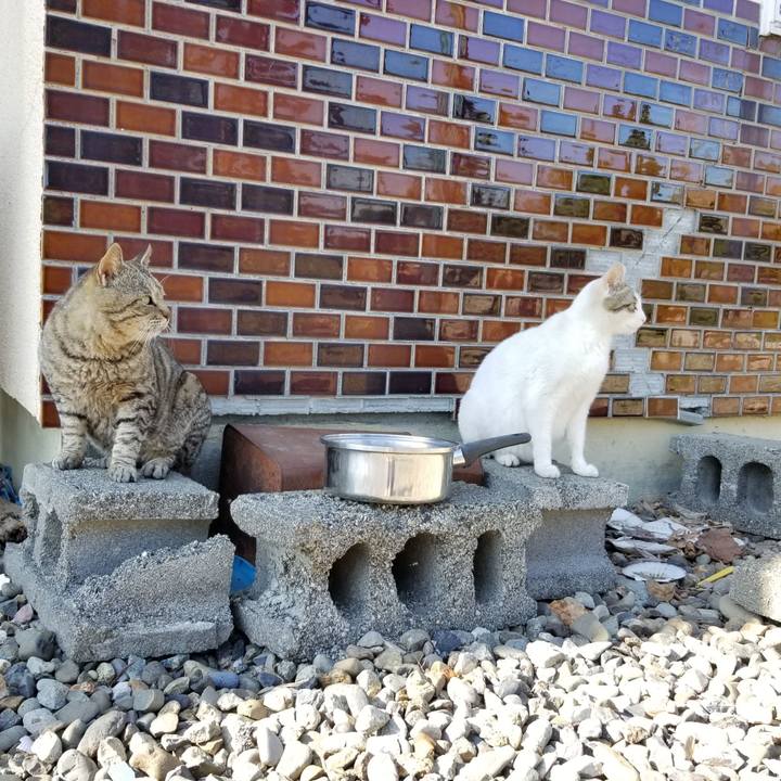 0136e98a 8c83 437c b451 39075a72d17a 1622819186533