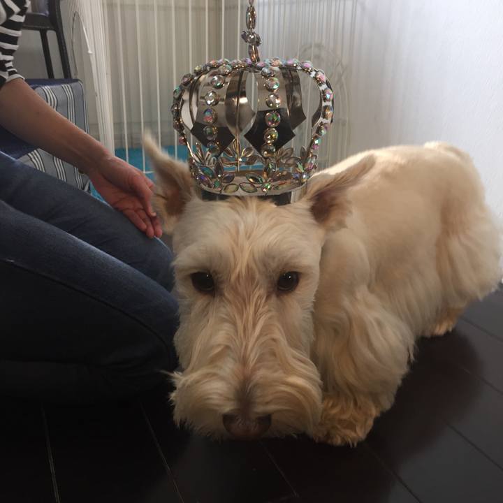 0137024c e79b 4ea5 a645 0f895f6916a7 1509633972135