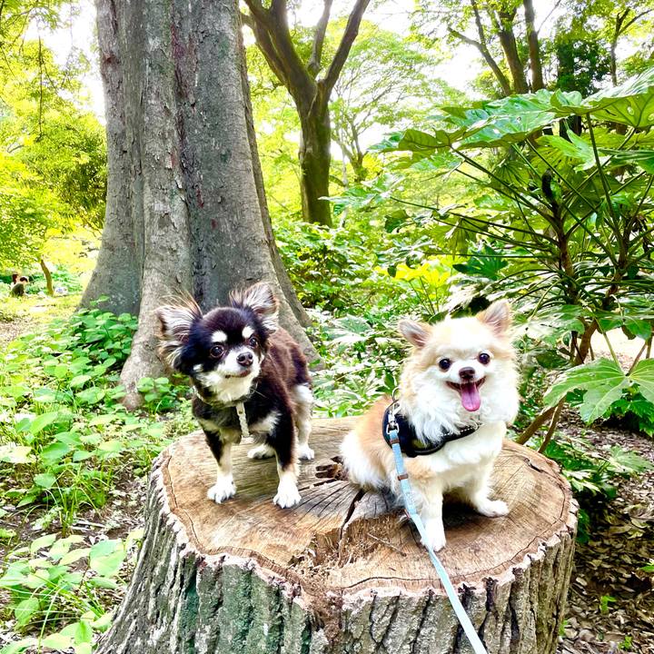 01370c2b 36c0 4bf1 878e aa7ae4a06d09 1685189830703