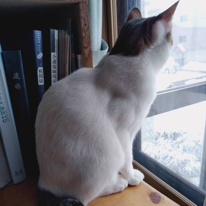 01373374 6927 4c27 863a 23bc799201f0 1647318509485