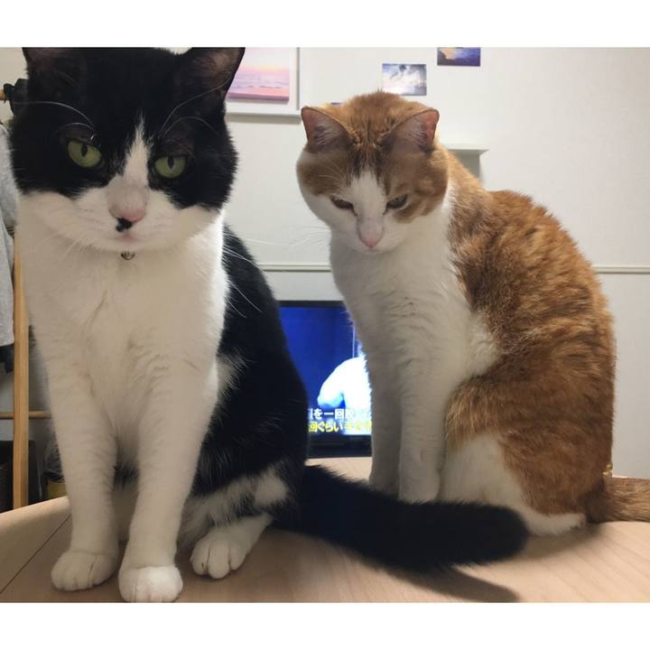 01378dec a09e 4c25 8814 8489d3b5cacf 1586228476313