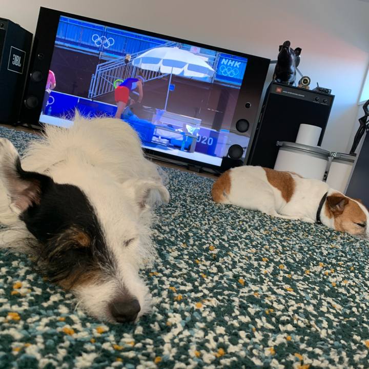 013796b7 5660 4bac 86a2 60b59881c8fb 1627366507969