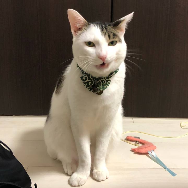 0137975f 8e74 4125 968d 27397084cb44 1534423840823