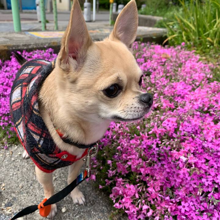 0137e0ab a93a 4585 89ab 55b642f80411 1586610615705