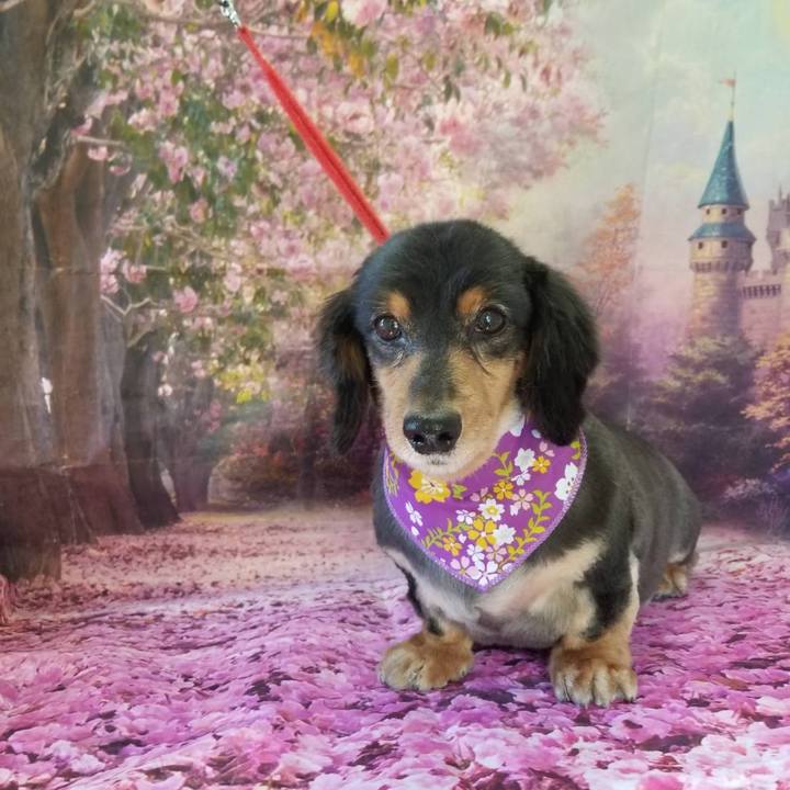 0137f595 bc3f 40db ae8b 9439c8615fe4 1551589645075