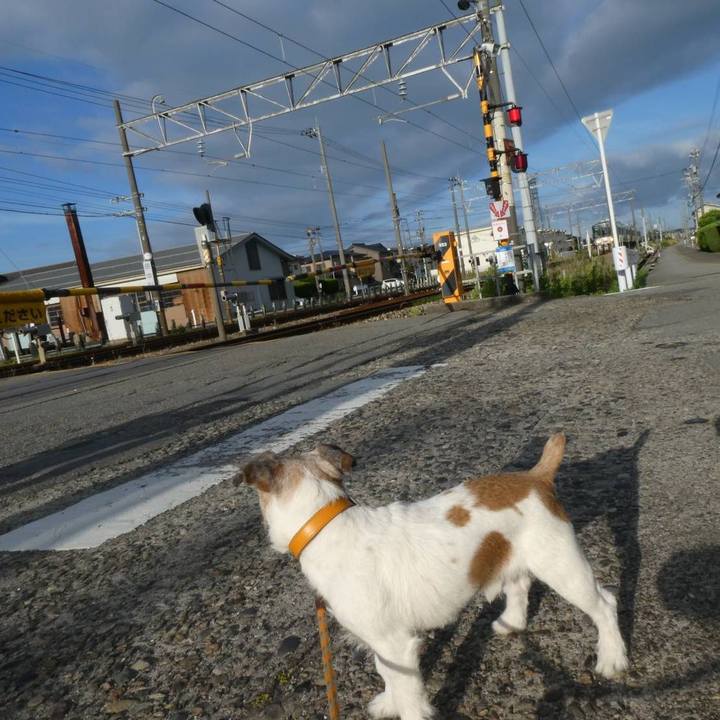 0137f667 1ef4 4113 af41 7e65acd30a49 1593350204070