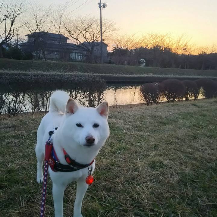 013834a7 cac9 4299 a645 cb22e9a1243e 1613033262968