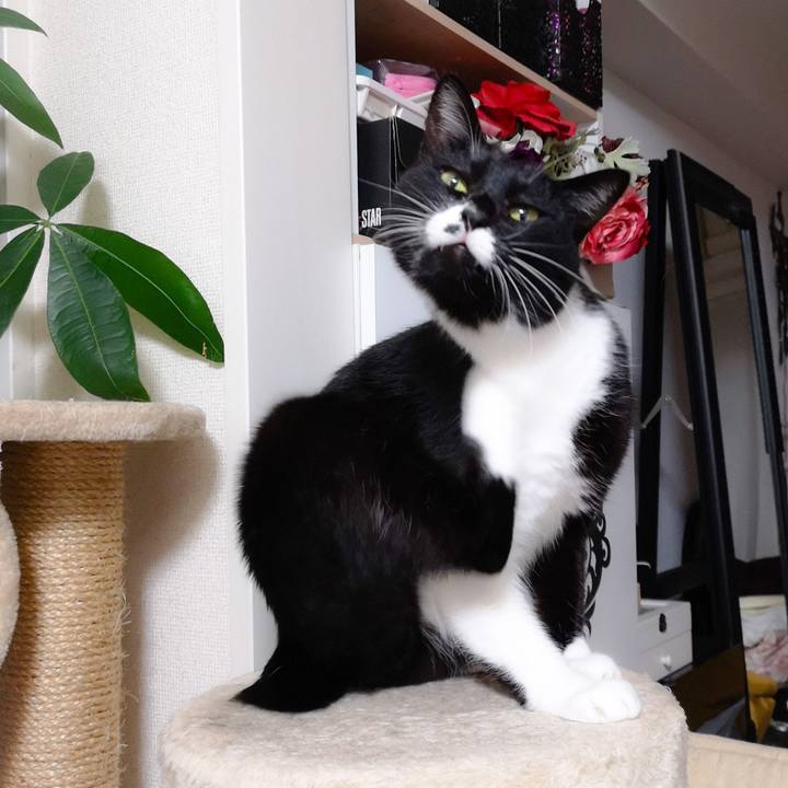 013852b7 6f79 44cd a7c0 325c81caeb21 1544886626281