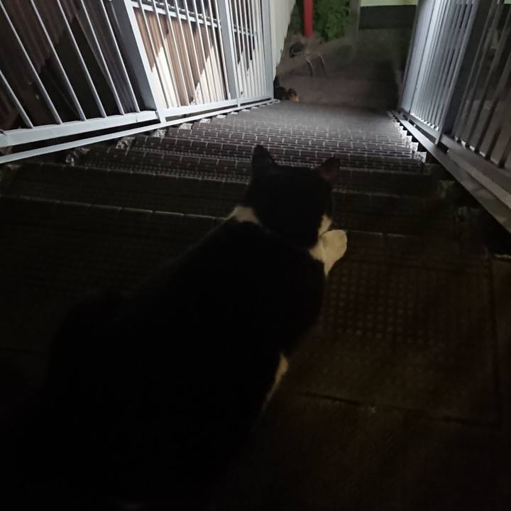 01386165 d837 4ecd b41a 96fe40badc29 1533301947237