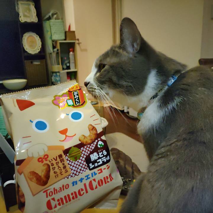 01387e03 2423 4190 b0bb 300ba6babcaf 1673168461181