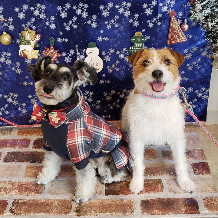 013882b6 0b4f 420f 8e84 5dd91526bf4c 1579329469553