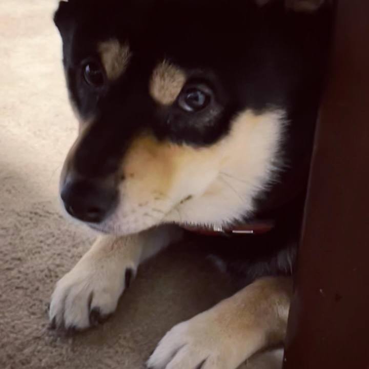 013885d4 8db1 430a b334 3a2bc8e0ece2 1715247294559