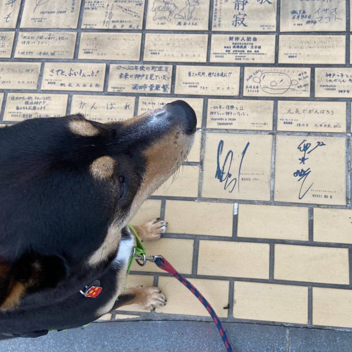 01388ff1 3571 4eaa 90d6 9487db9f3a6c 1593176327751