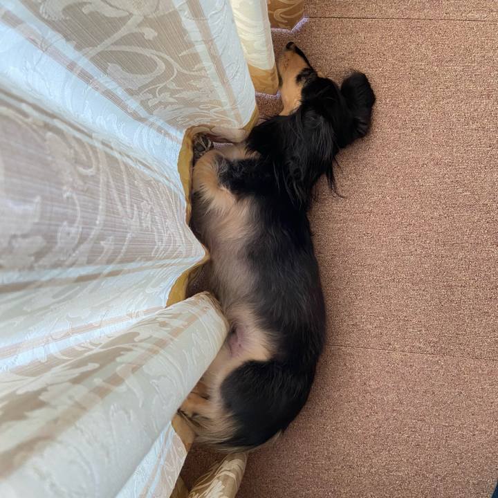 0138b38d 4673 488a b00b 78d82946a514 1753663824286