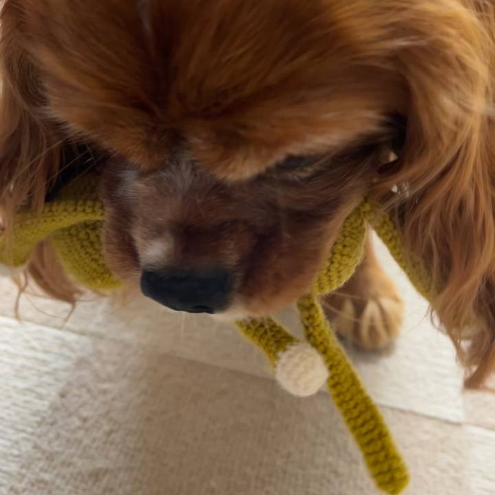 0138cee1 324c 4997 8d20 88f3090602ce 1686174782700