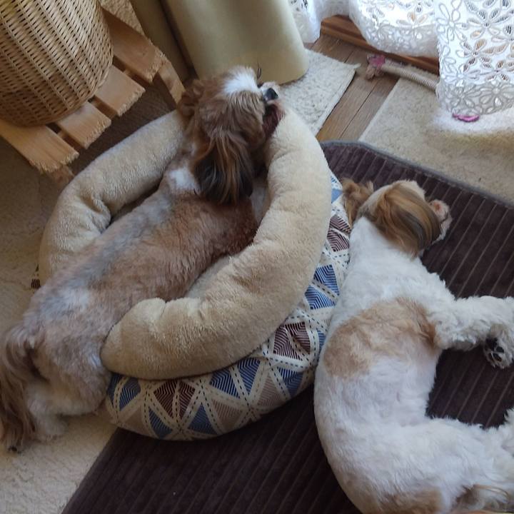 0138e956 1b36 48d2 90d4 84b7136158fc 1588505669524