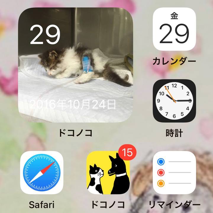 013919c3 d297 4822 b874 053aeff10b43 1635514054098
