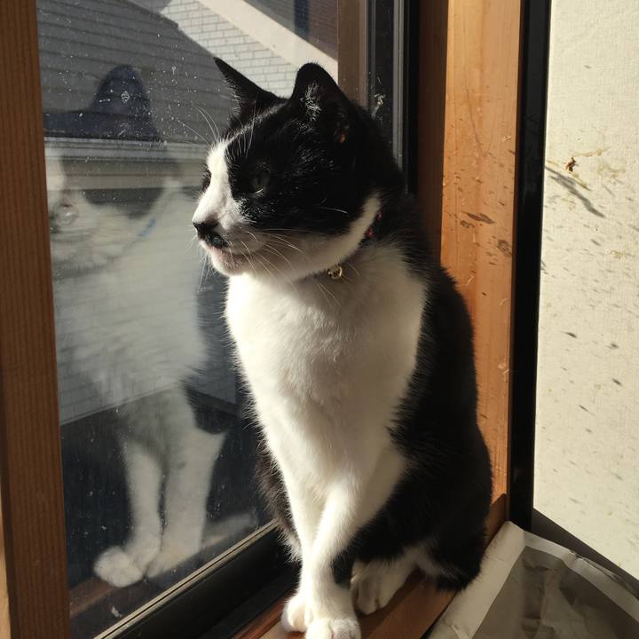 01391a3a 2578 458a 8e21 1bfdc657b768 1515297731929