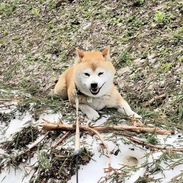 01392746 d3b7 4953 a560 82341f478339 1651032544216