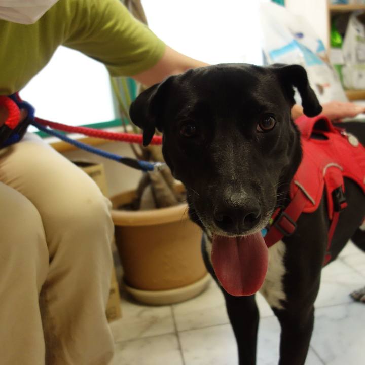 01395939 816b 4c30 ac63 1deaa4806f22 1591353430666