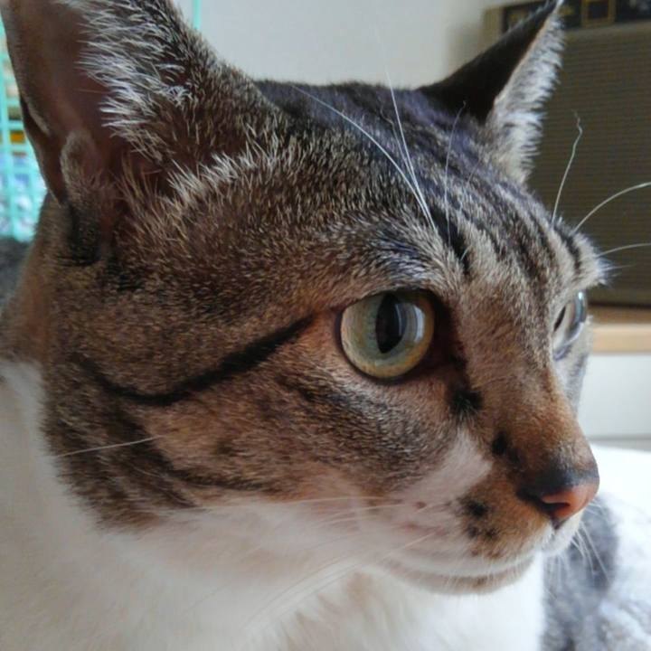 013978b3 bb6f 4e25 b859 adfcba131362 1533858597865