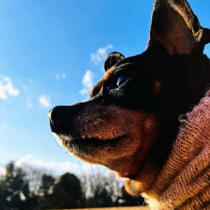 01398304 a23c 4178 bfdb 4e408d3c3951 1739284248563