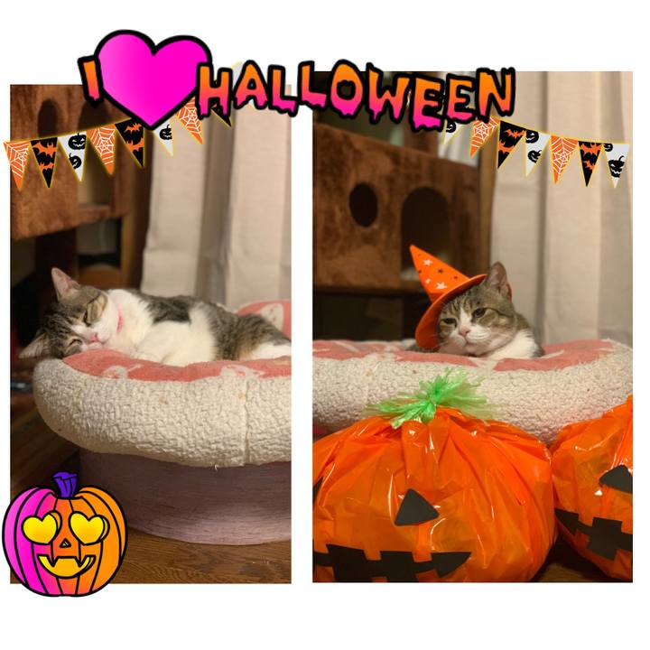 0139a1ae 2d93 4a4a 94ed 45582337fac3 1635641492525