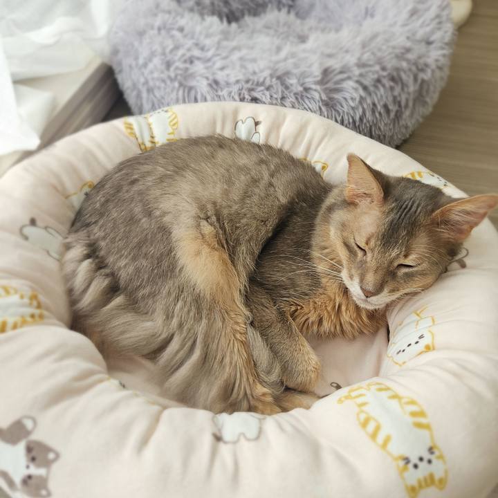 0139a9f5 5820 4c42 9222 c93992689b4b 1774832561516