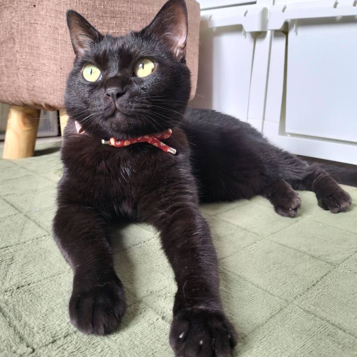 0139bf74 60b4 41da adfc b90abbeeec5a 1655937627859