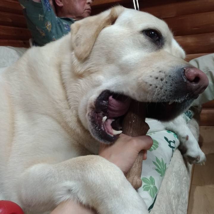 0139c610 fec0 4b99 81ba 46b380216761 1624667647043