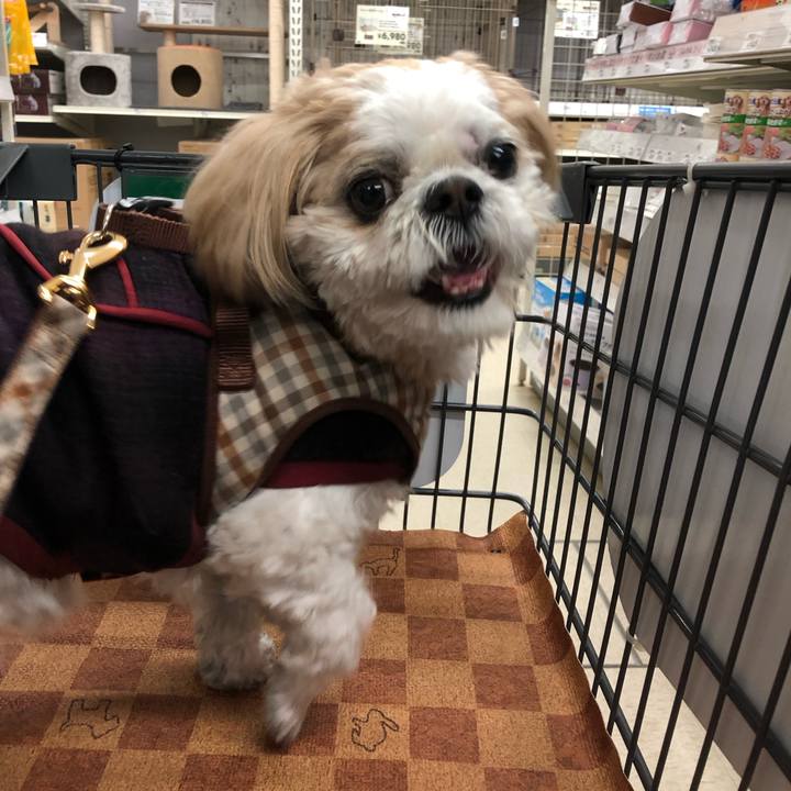 0139c6cd 09c6 4698 8d20 b8ba4f5225e3 1552600472604