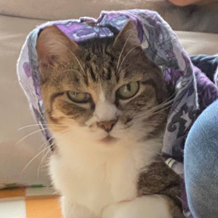 0139f334 4e7d 4ad2 88bf 64f6cda6c679 1693094907549