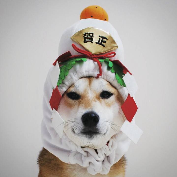 0139f51c 4326 4c2e 965d baba6d17d66b 1514745909022