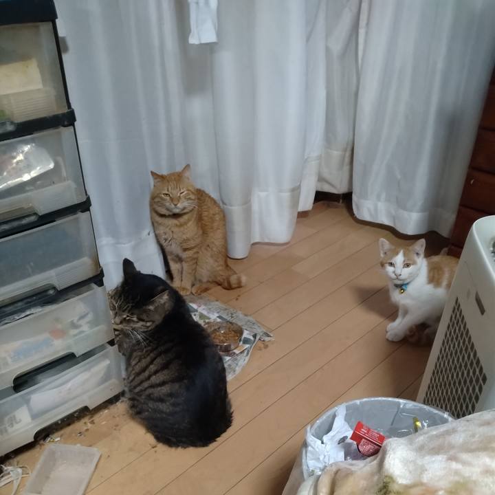 0139f8a5 77d0 4b50 adbf f490e0d47633 1738916505238