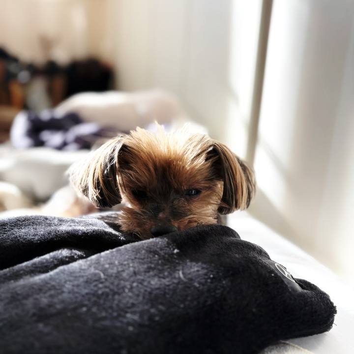 013a4e03 4e66 47fd a524 775f762cd0b9 1765845285836