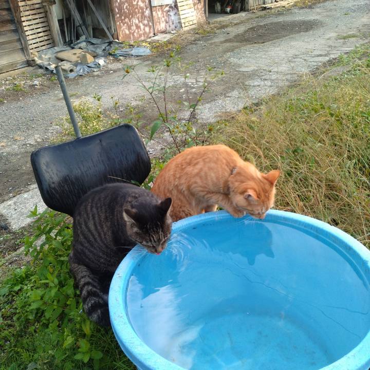 013a7958 78c1 4cd4 8fa6 a89febfbbb57 1664833128620