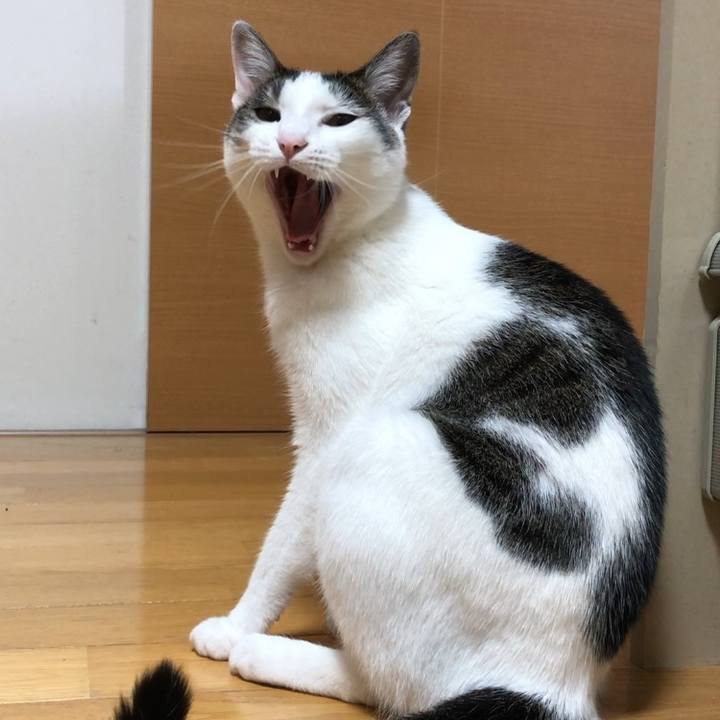 013ab1e3 82b3 4777 b9fe 6c9ad17f92a5 1626700597408