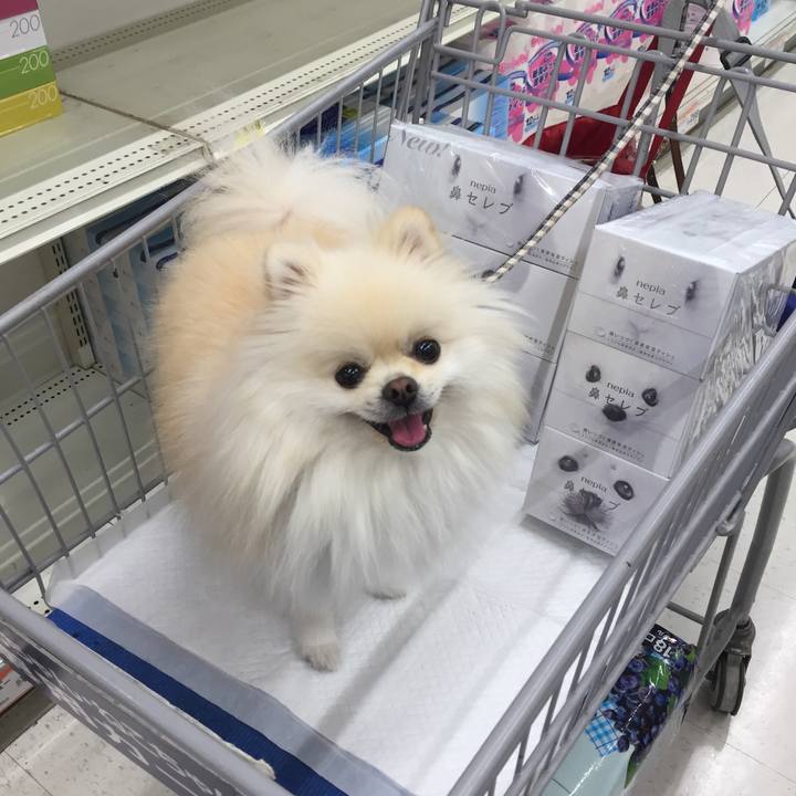 013ac237 91c1 499c 8bcd 565e3e405d10 1539906393066