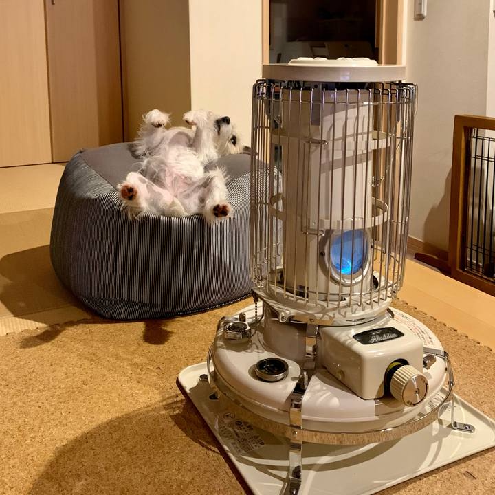 013ae54f f1d1 420a a4ca 2c66d960725d 1648991836366