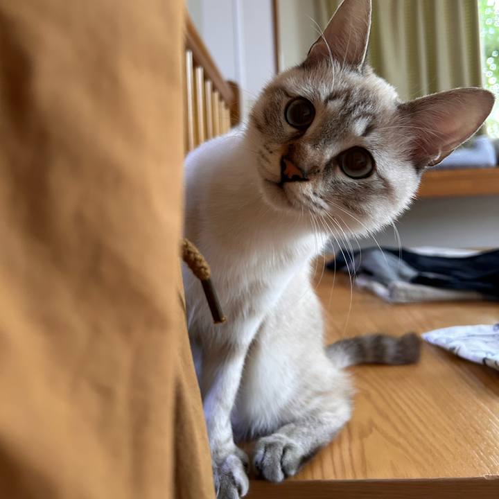 013b1317 dcb8 4924 95ee c3bd375db090 1732232590879