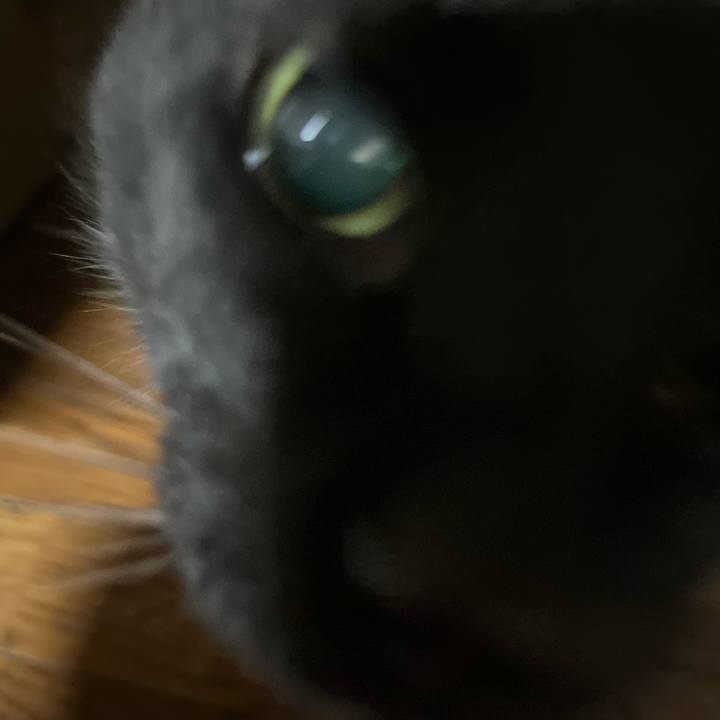 013b4f6b 7c77 40ee 8d50 e8ccdac6ea14 1685656331913