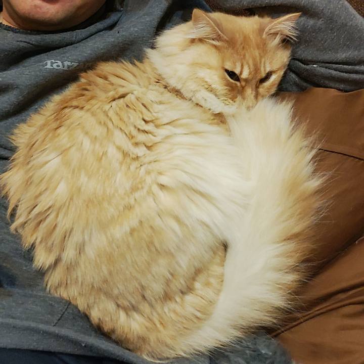 013b567f 867f 4a05 8d7b 1a0ef211d865 1675524903036