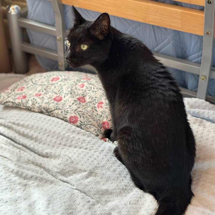 013ba6db b799 4a4f 8201 84276406d719 1693530131499