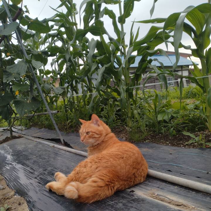 013bb4e7 f360 44b1 bfc3 8cc8eeba9746 1689241351983