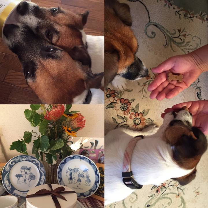 013bbed3 66dc 42bf 8032 fc07f796aa62 1566001025470