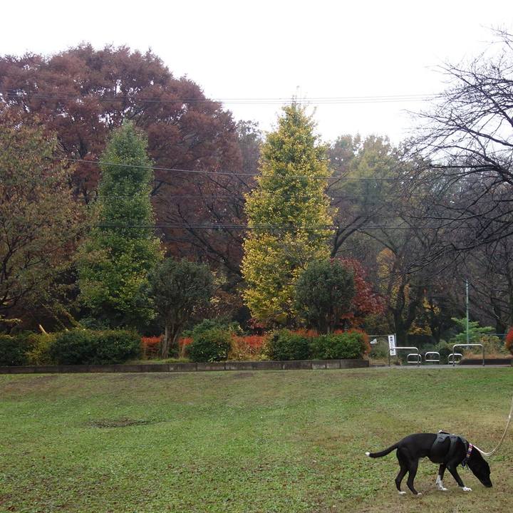 013bc2a0 d3bd 4583 9690 18cc0d80a4ff 1637542390515