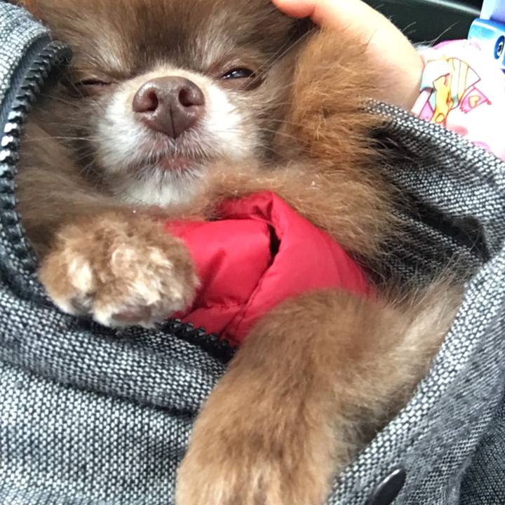 013c1f5f 4498 445c a0fd 7abcdfa588ca 1520371885288