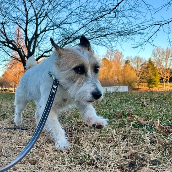 013c34f2 3d58 4d4b ad7e 1821043e2231 1736632070708