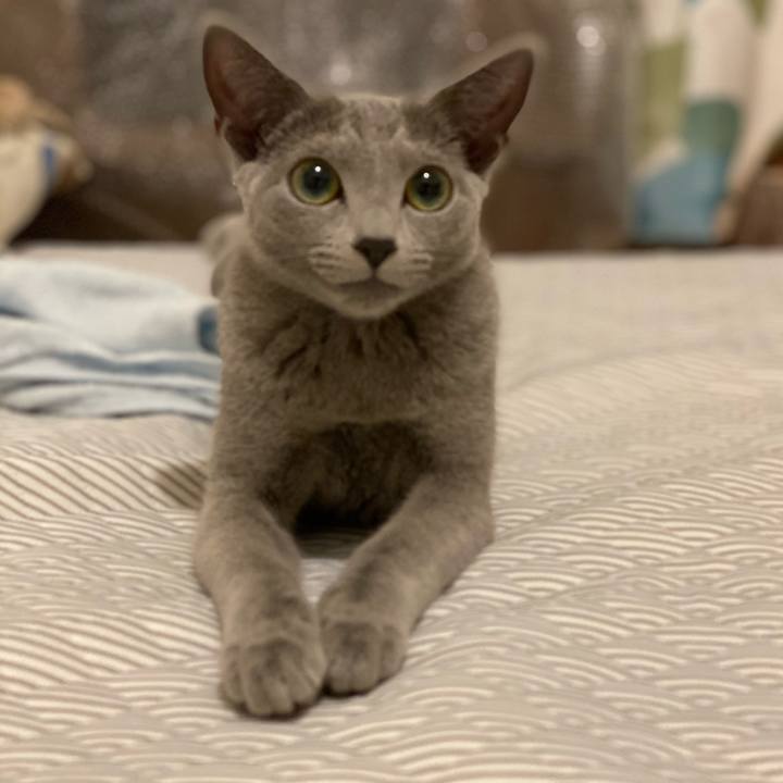 013c4b9a 7516 4a41 a4de fa8b29308eae 1605098274814