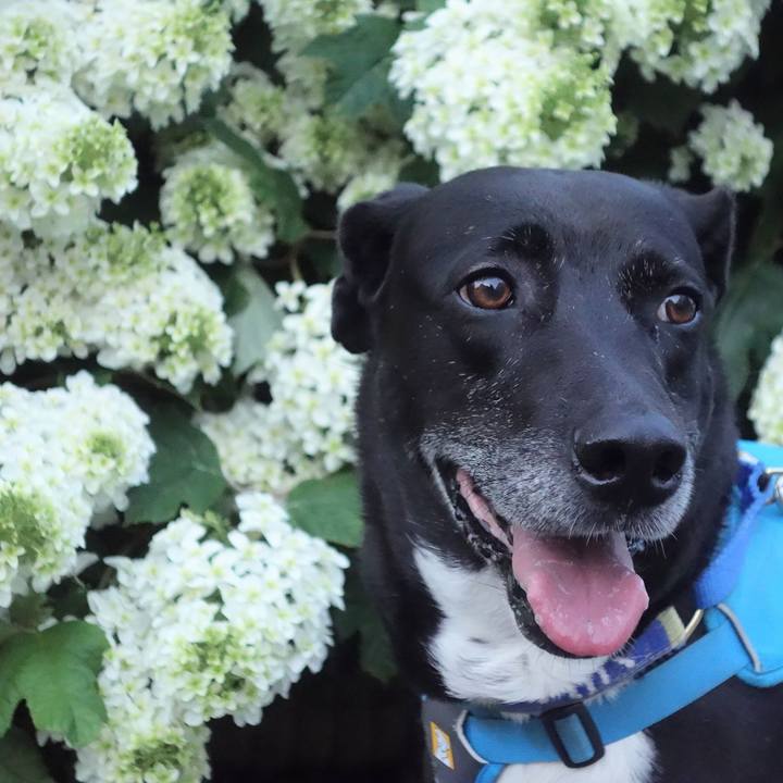 013c6f36 5263 4c9f a010 6c54745070c7 1684667571487